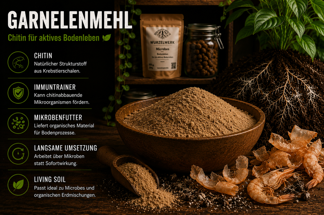 Garnelenmehl mit Chitin zur Förderung von Bodenleben, Mikroorganismen und biologischer Aktivität im Living Soil.