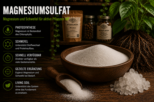 Magnesiumsulfat im Living Soil: Infografik zu Magnesium für Photosynthese, Schwefel für Stoffwechselprozesse und der gezielten Ergänzung von Magnesium und Schwefel im Boden.