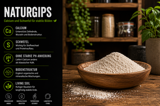 Naturgips (Calciumsulfat) im Living Soil als Quelle für Calcium und Schwefel. Die Grafik zeigt die Rolle von Naturgips für Bodenstruktur, Zellwände, Wurzelentwicklung und stabile organische Erdmischungen.