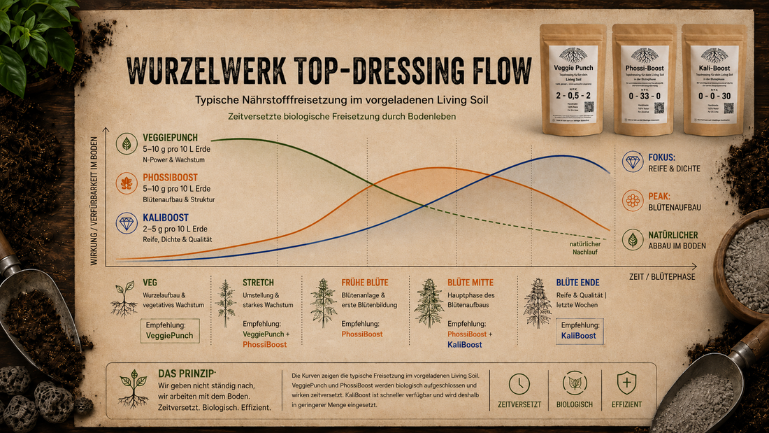 Wurzelwerk Topdressing-Düngeplan mit VeggiePunch, PhossiBoost, KaliBoost und Microbes zur zeitversetzten Versorgung im Living Soil