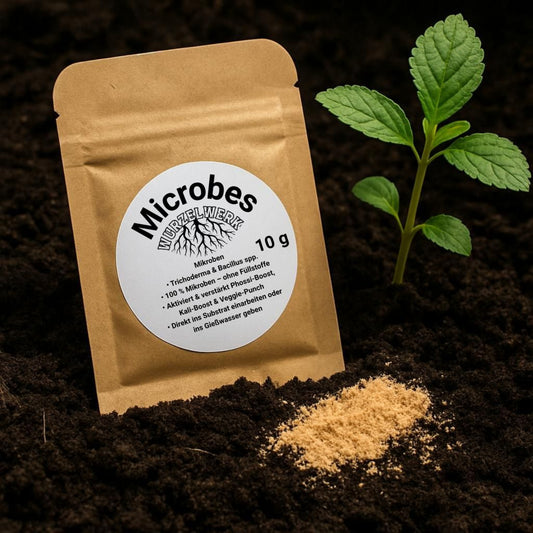 Wurzelwerk Microbes 10 g – Mikrobenpulver mit Pflanze und Boden, aktiviert PhossiBoost, VeggiePunch und KaliBoost im Living Soil