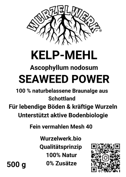 Wurzelwerk.bio® Kelpmehl – Ascophyllum nodosum für Living Soil