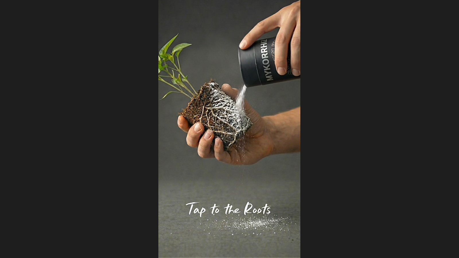 Video laden: Wurzelwerk Mykorrhiza – Anwendung direkt an der Wurzel